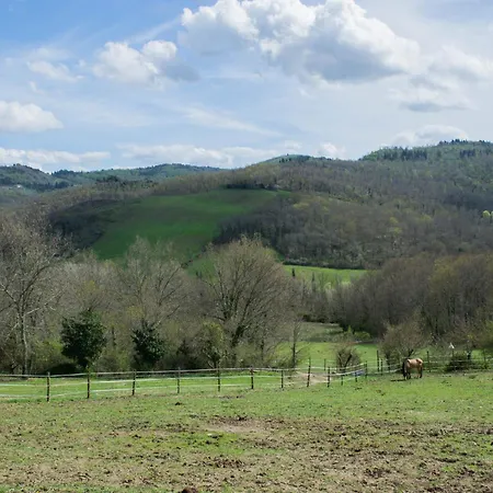 农家乐 Podere Marcigliano *