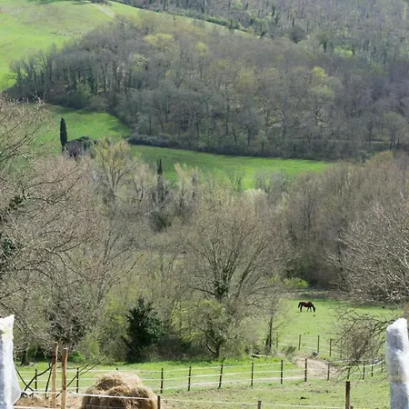 农家乐 Podere Marcigliano *