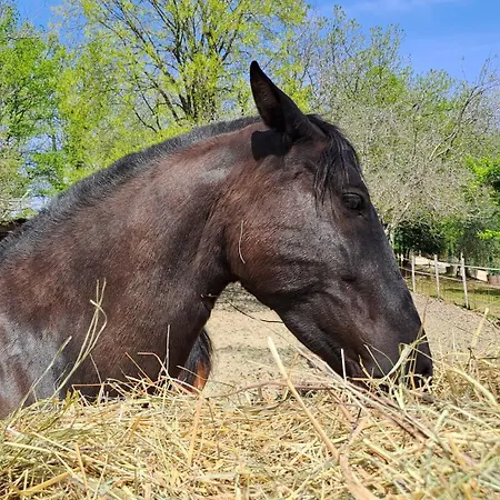 农家乐 Podere Marcigliano Badia A Passigano