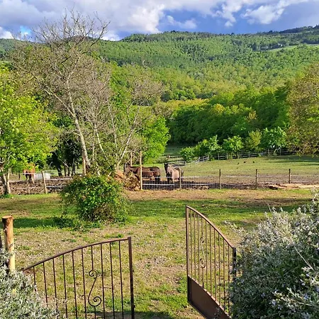 农家乐 Podere Marcigliano Badia A Passigano